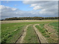 Footpath to Elvington