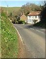 Cottage at Melplash