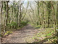 Footpath to Pwllglas