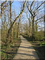 Bridleway towards Shepham Lane