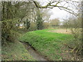 Minor Tributary of the River Derwent