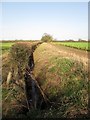 Field  edge  boundary  drainage  ditch  and  hedge