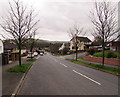 Tree-lined Melbourne Way, Newport