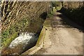 Laneside stream, Loscombe