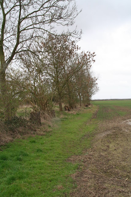 Field margin off the A15 near Scampton