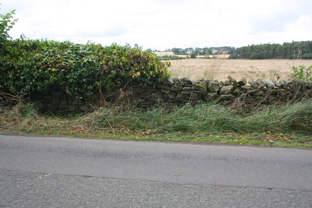 Dry stone wall beside minor road east of Hollins Wood