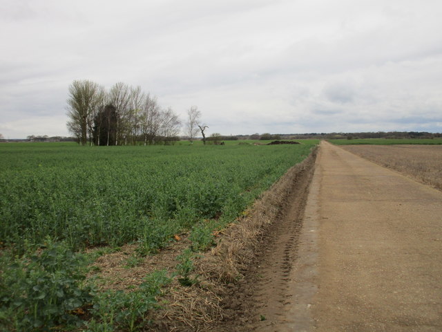 Farm track near Corner Farm