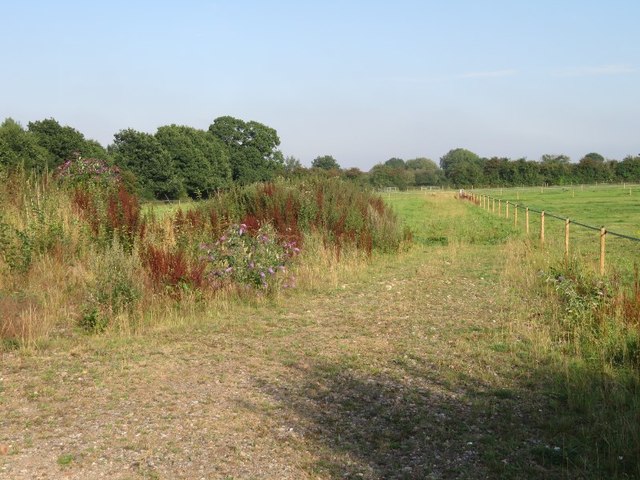 Paddock east of Station Road