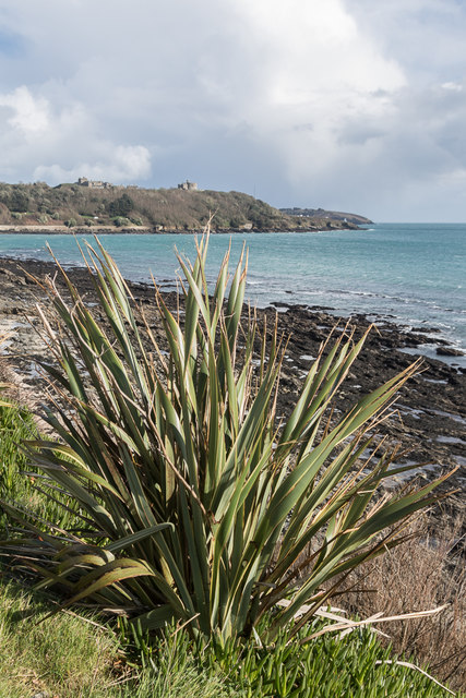 Castle Beach and Pendennis Castle, Falmouth, Cornwall