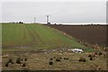 Fields near Dalcrue