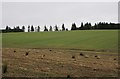 Fields near Dalcrue