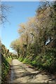 Lane to Lancombes Cross