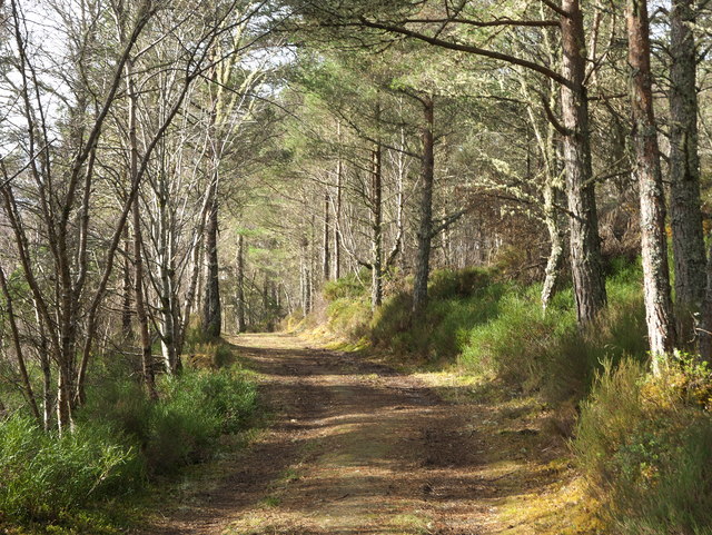 Track towards Loch Migdale