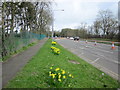 Sherwood Drive Outside Bletchley Park