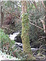 Rapids on the Carrickananny River