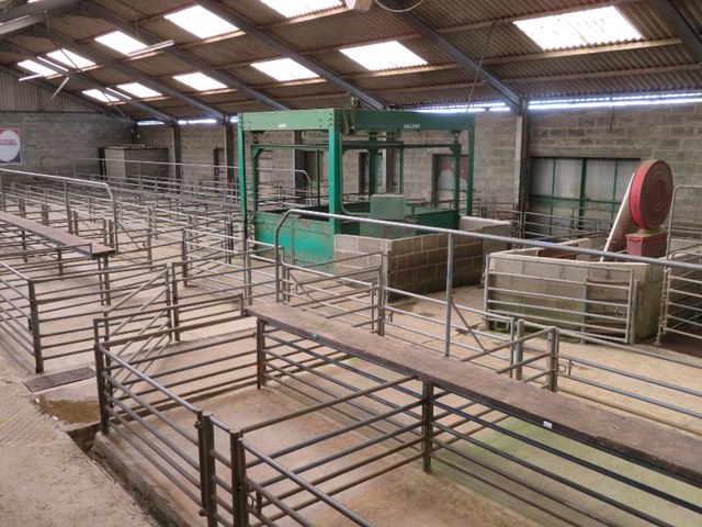 Hatherleigh cattle market