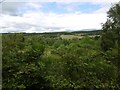 View over the Belladrum Burn