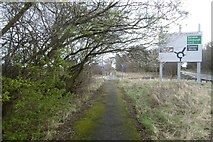 NT6477 : Old road, West Barns by Richard Webb