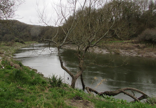 Upstream Along The Wye, Tintern © Jaggery :: Geograph Britain And Ireland