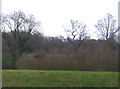 Grass bank and woodland near Tykes Water, Radlett