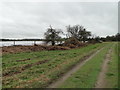 Looking towards Aerodrome Plantation