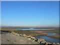 SJ2474 : The Dee estuary at Flint Point by Eirian Evans