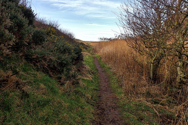 Path around Mire Loch