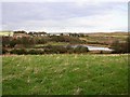 Pebsham Marsh