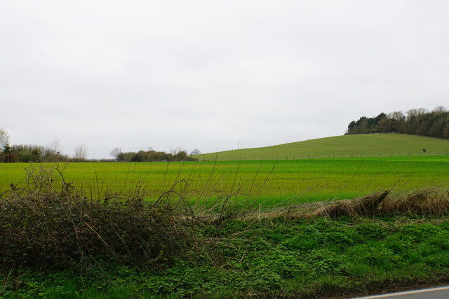 Farmland at Chiselhampton