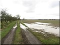 Farm track off Linton Lane