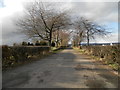 Farm road to Arnbog