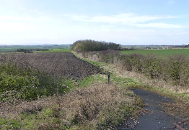 Arable fields beside the A1