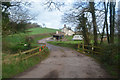 Mid Devon : Country Lane