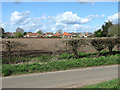 Houses in Hargham Road