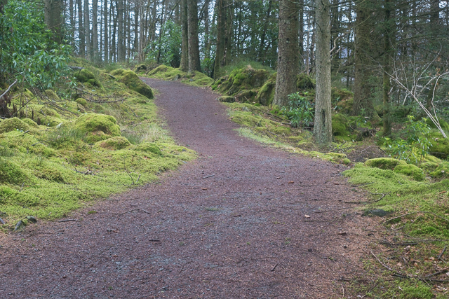 Track beside Loch Venachar