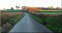 SS5520 : Lane to Sherwood Green by Derek Harper