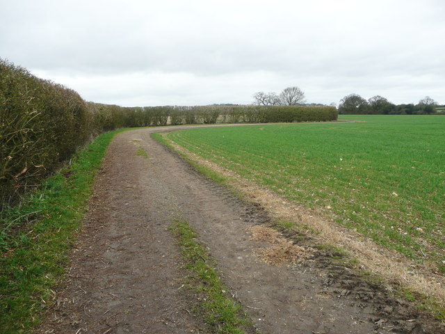 Track on Lilley Hoo