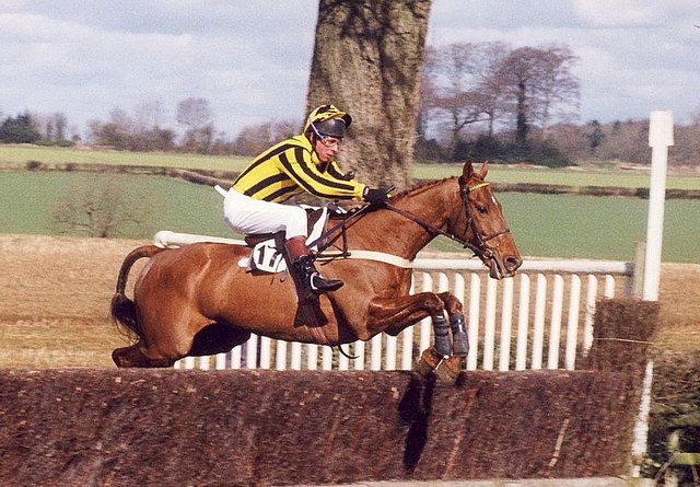 Beaufort Hunt Point-Point Races, Didmarton, Gloucestershire 2000