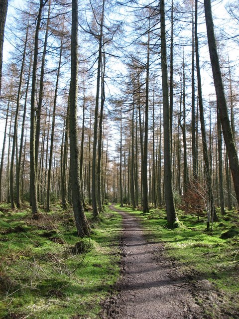 Permissive Path from High Larches car park