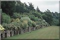 The lawn and mixed border at Endsleigh Cottage