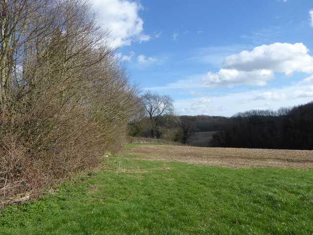 Looking towards Dodds Willows