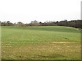 Arable field adjacent to Paxton Dene