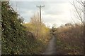 Path round Staveley Nature Reserve