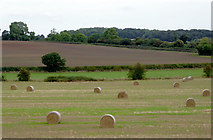 SK3901 : Farmland north-east of Shenton, Leicestershire by Roger  D Kidd