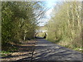 The M2 crossing Well Lane