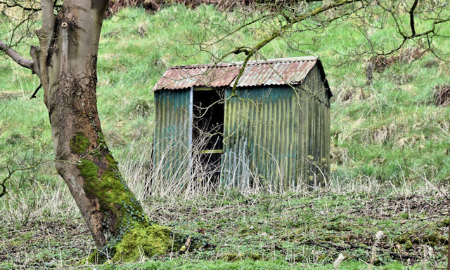 Old hut, Bellevue, Belfast (March 2017)