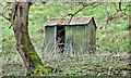 Old hut, Bellevue, Belfast (March 2017)