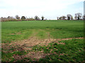 Cereal crop field by Dudwick Farm