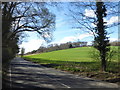 Looking along Faversham Road