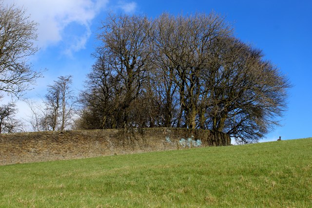 Wall near the Black Dyke Mill